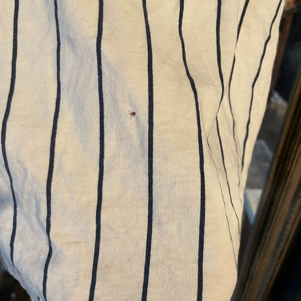 Vintage 1999 Minnesota Twins T-Shirt - Picture 6 of 9